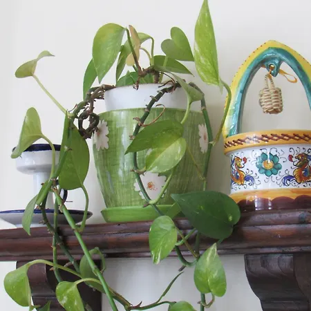 Il Libeccio 別荘 ポジターノ