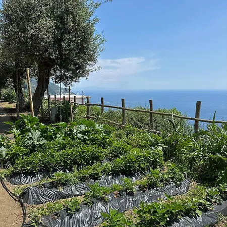 Il Libeccio Casa de Férias *