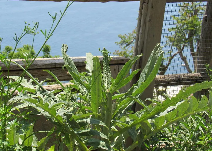 Ferienhaus Il Libeccio *