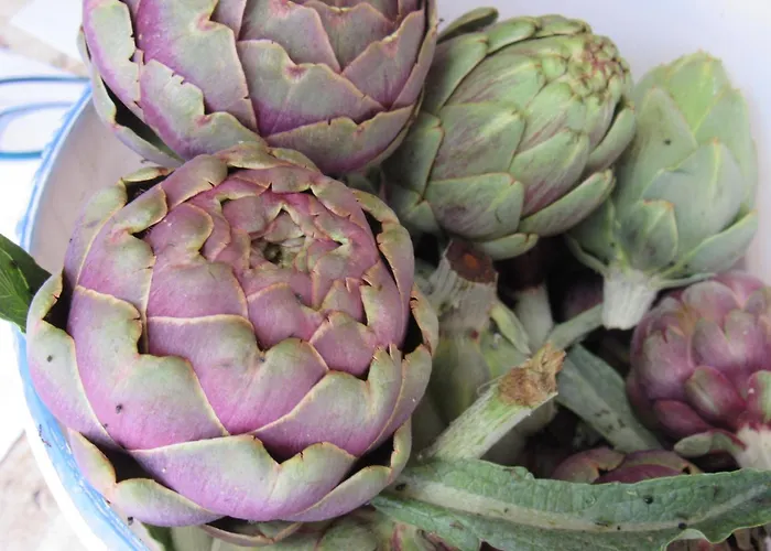 Ferienhaus Il Libeccio