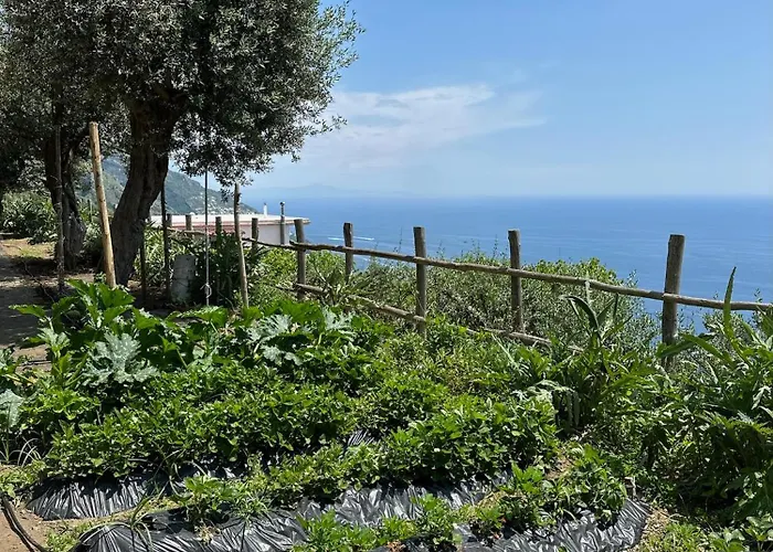 Il Libeccio Ferienhaus *