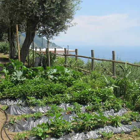 Il Libeccio * Positano