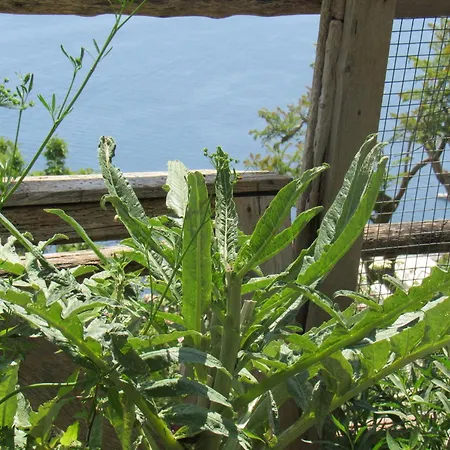 Nyaraló Il Libeccio *