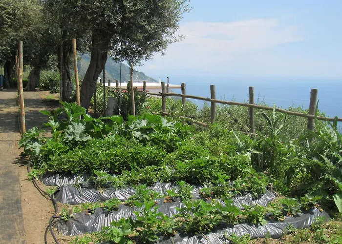 Il Libeccio * Позитано